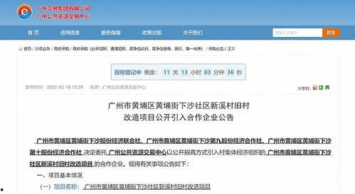 黄埔最新爆料,揭秘神秘项目，行业变革即将到来